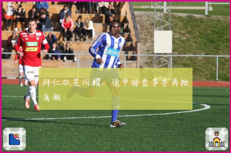 拜仁双星闪耀，德甲榜首争夺再掀高潮